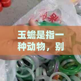 玉蟾是指一种动物，别称为金蟾，也有人称之为仙蟾或癞蛤蟆。