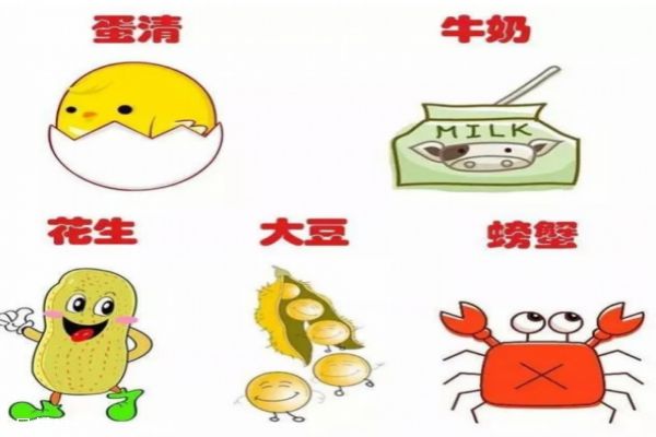 宝宝易过敏食物有哪些 避免这些过敏源