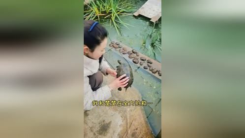 猜猜它还活着吗？重点在后面
