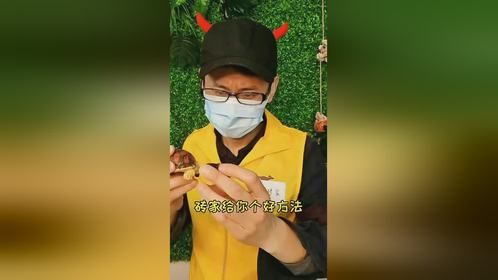 美龟砖家告诉你，龟要这样泡澡