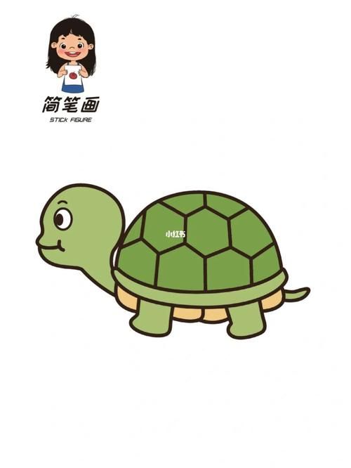 乌龟卡通图片