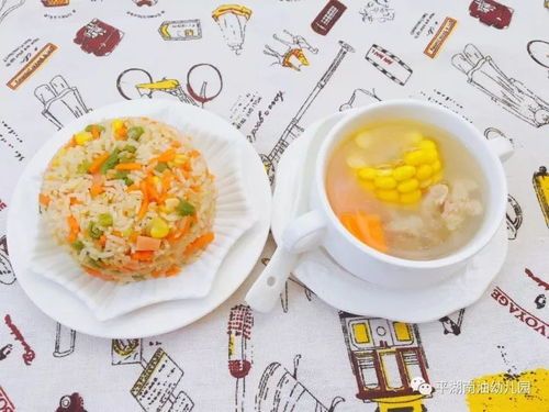 萌宠必备:小鸟宝宝营养食谱指南