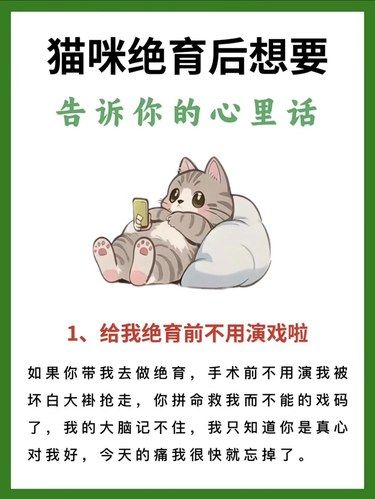 想要给猫猫做绝育的看过来了～