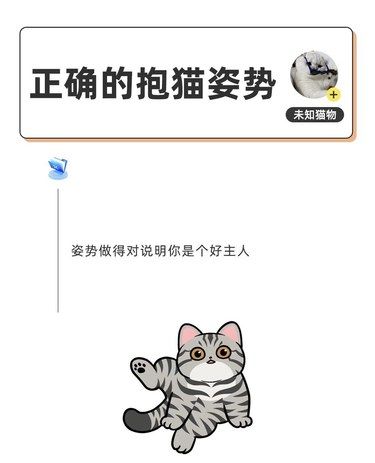 你知道猫咪喜欢主人怎么抱自己吗?