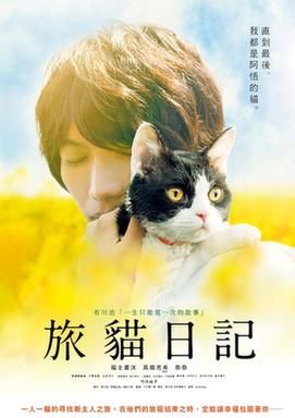 《旅猫日记》：吸猫文化与治愈系生活