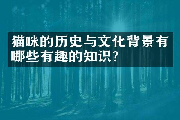 猫咪的历史与文化背景有哪些有趣的知识？