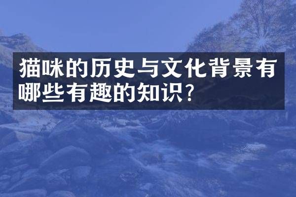 猫咪的历史与文化背景有哪些有趣的知识？