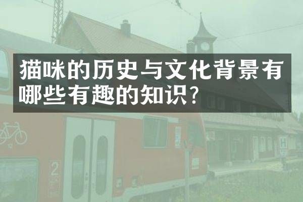 猫咪的历史与文化背景有哪些有趣的知识？