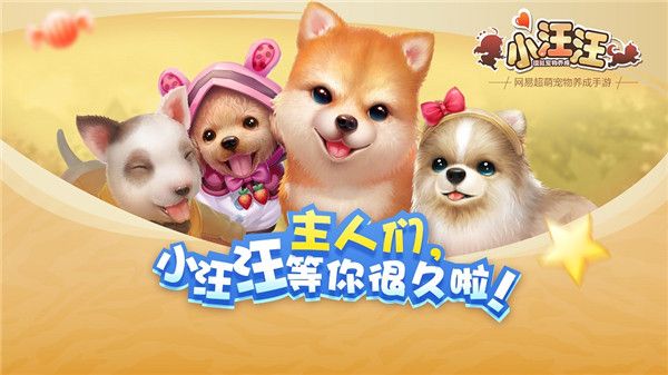 萌宠乐园，全方位宠物娱乐与亲密体验空间
