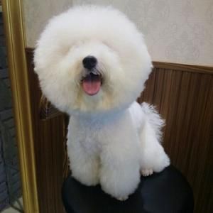 狗狗自制粮&狗狗蛋糕的做法 步骤10