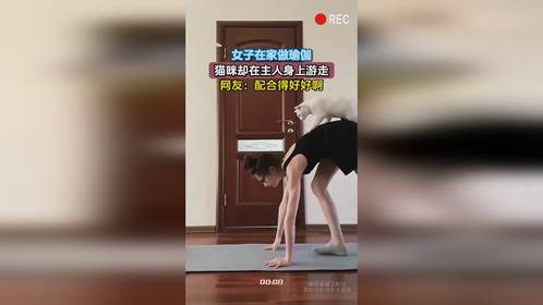 女子在家做瑜伽，猫咪却在主人身上游走，网友：配合得好好啊