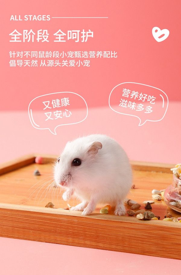 萌宠乐园仓鼠粮，让爱宠健康快乐的秘诀