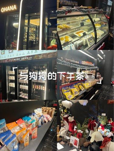 与狗狗的下午茶☕️