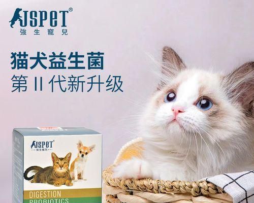 小猫肠胃出问题，如何给宠物正确护理（解析小猫肠胃问题的成因及有效治疗方法）