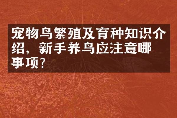 宠物鸟繁殖及育种知识介绍，新手养鸟应注意哪些事项？