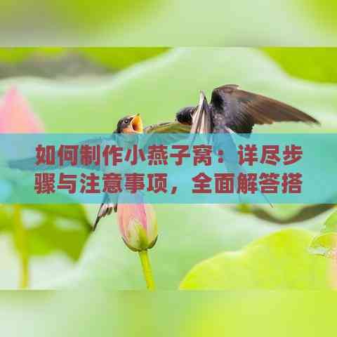 如何制作小燕子窝：详尽步骤与注意事项，全面解答搭建燕子家园的疑问