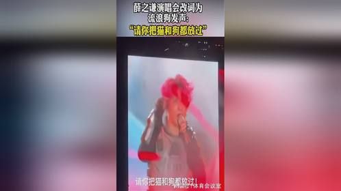 薛之谦演唱会改词为流浪狗发声：请你把猫和狗都放过