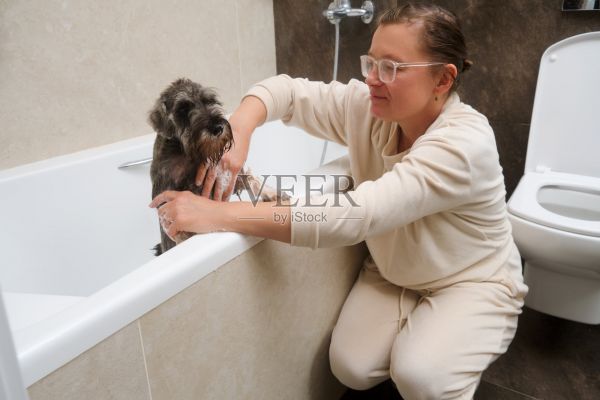一个女人在浴室里给她的狗洗澡。宠物护理和卫生理念。照片摄影图片