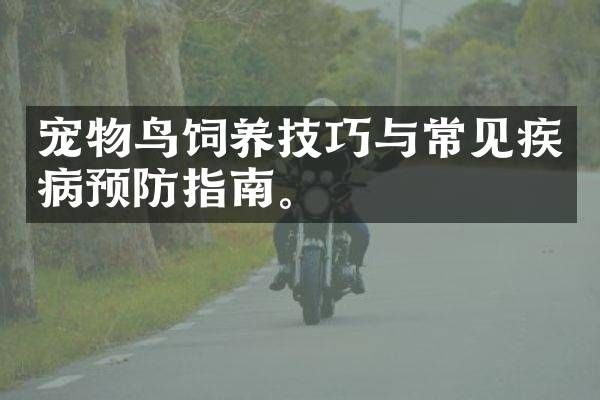 宠物鸟饲养技巧与常见疾病预防指南。