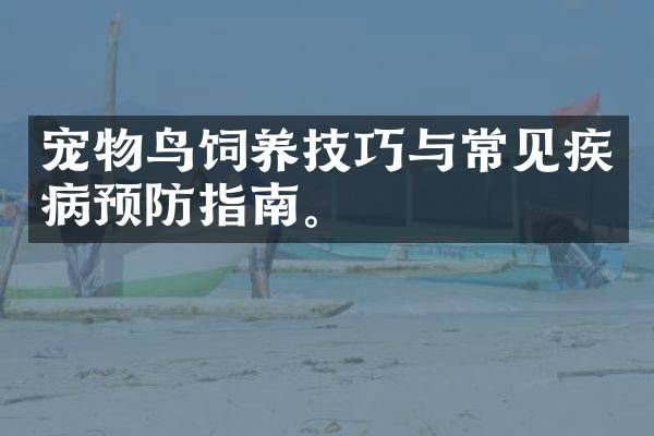 宠物鸟饲养技巧与常见疾病预防指南。