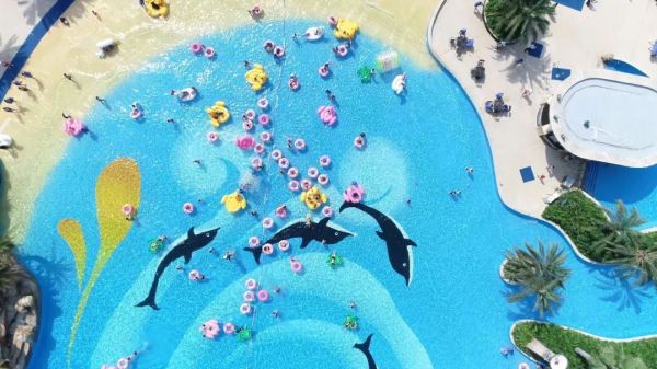 海豚酒店萌宠水上乐园，一个家庭和宠物的终极度假胜地