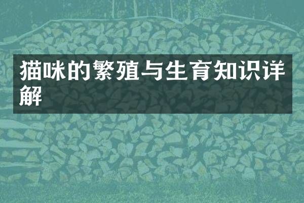 猫咪的繁殖与生育知识详解