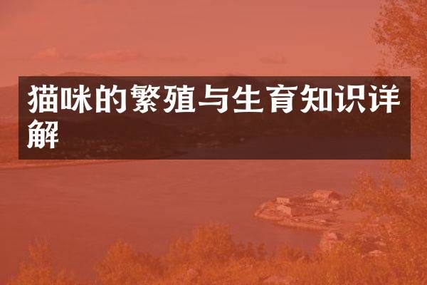 猫咪的繁殖与生育知识详解