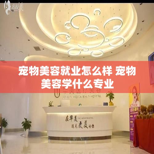 宠物美容就业怎么样 宠物美容学什么专业