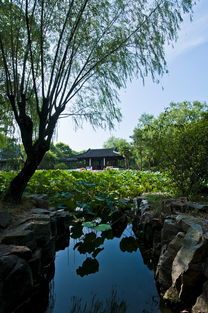 歌林公园苏州萌宠乐园，人与动物的和谐共生之地