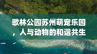 歌林公园苏州萌宠乐园，人与动物的和谐共生之地