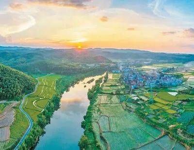 萌宠乐园，人与自然和谐共生的乐园之旅