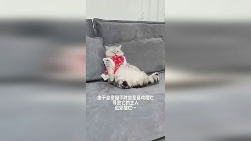 生活中的开心果