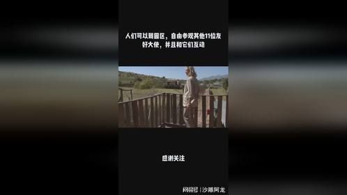 人们可以到园区，自由参观其他11位友好大使，并且和它们互动