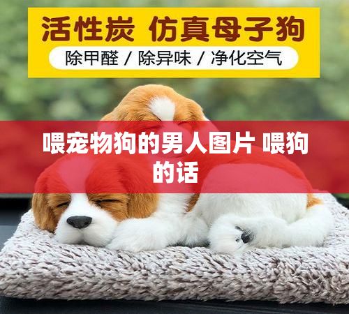 喂宠物狗的男人图片 喂狗的话