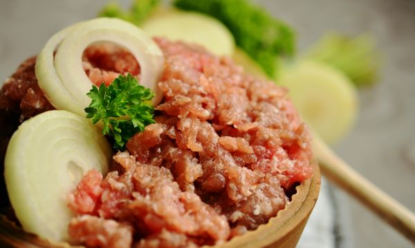 萌宠乐园午餐图片高清壁纸，让你爱上宠物美食
