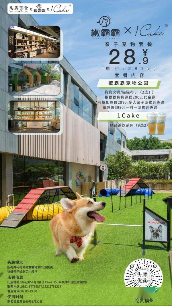 萌宠餐饮乐园，让宠物尽享美食之旅