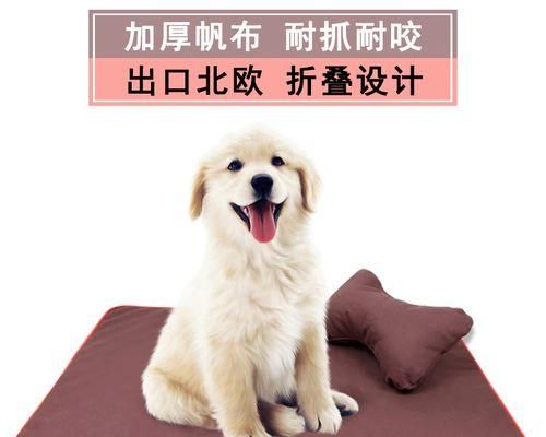 如何训练宠物狗狗不咬人（详解15种教导狗狗不咬人的方法）