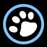 猫班长