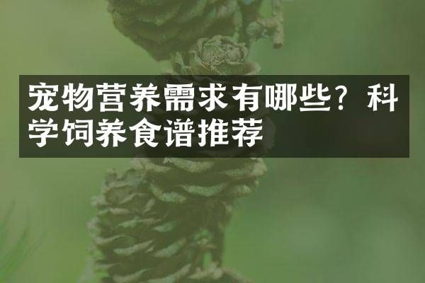 宠物营养需求有哪些？科学饲养食谱推荐
