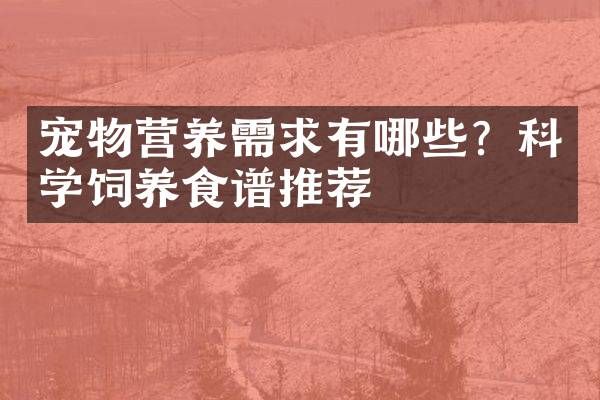 宠物营养需求有哪些？科学饲养食谱推荐