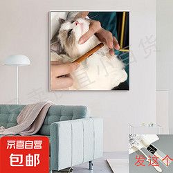 JX 京喜 猫咪梳子梳毛密齿长毛毛刷专用毛密齿宠物浮毛神器宠物狗开结排梳