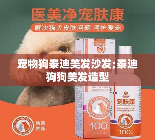 宠物狗泰迪美发沙发;泰迪狗狗美发造型