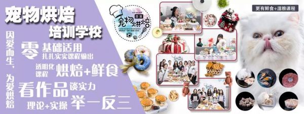 宠物烘焙零食培训学校——烘焙与爱的完美结合