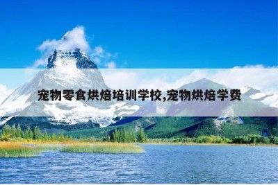 宠物零食烘焙培训学校,宠物烘焙学费