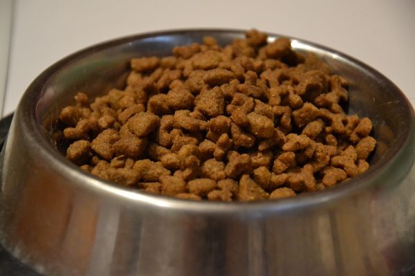 绍兴宠物零食烘焙培训学校，培养专业宠物食品制作人才的摇篮