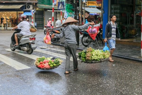 绍兴宠物零食烘焙培训学校，培养专业宠物食品制作人才的摇篮