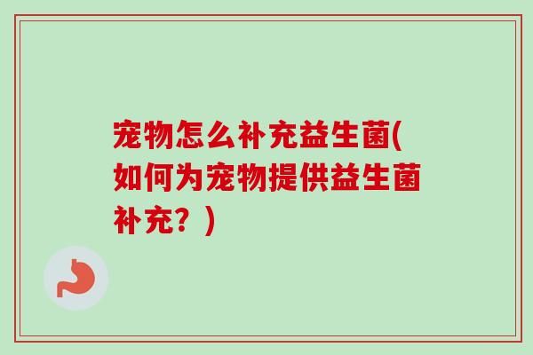 宠物怎么补充益生菌(如何为宠物提供益生菌补充？)