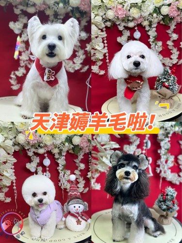 天津人都知道吗！