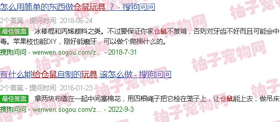 给仓鼠做简易玩具