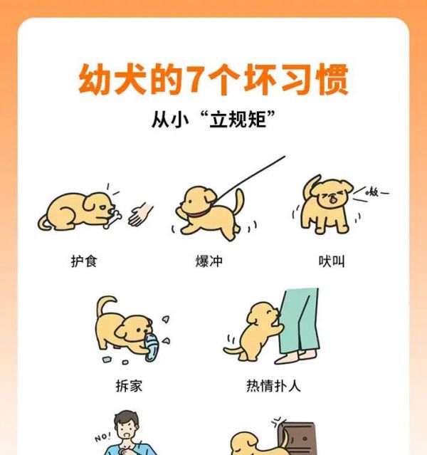 寻找安静宠物伴侣（摆脱噪音困扰，选择适合你的安静狗狗品种，享受宁静生活）